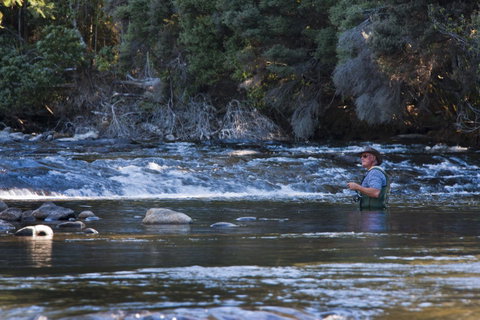Tyenna River Cottages - Holiday Find 21