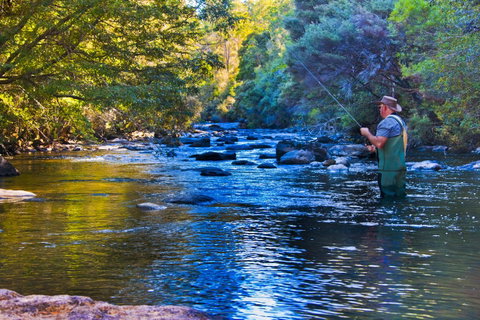Tyenna River Cottages - Holiday Find 22