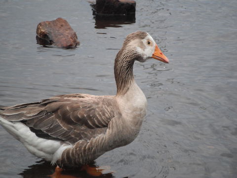 Maydena Chalet - Holiday Find 39