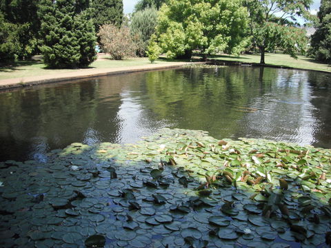 Maydena Chalet - Holiday Find 23