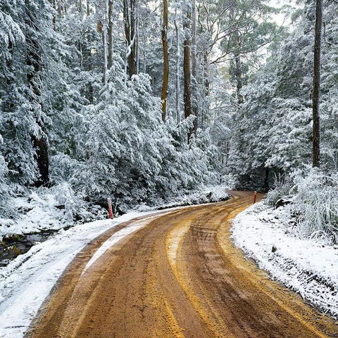 Maydena Chalet - Holiday Find 41