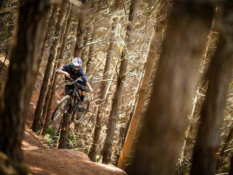 Maydena Chalet - Holiday Find 6