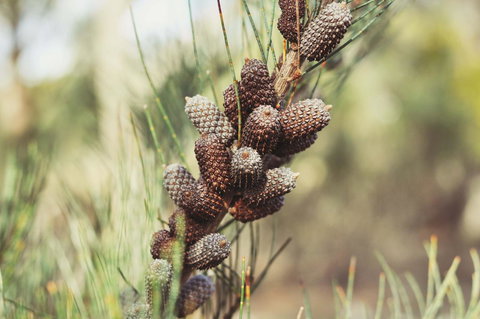 Oyster Cove Chalet - Holiday Find 30