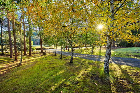 Oyster Cove Chalet - Holiday Find 1