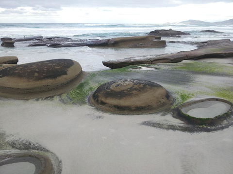 Suntrap Cove Bicheno - Holiday Find 6