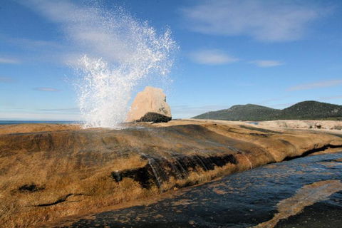 Suntrap Cove Bicheno - Holiday Find 30