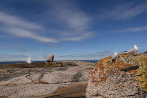 Suntrap Cove Bicheno - Holiday Find 37
