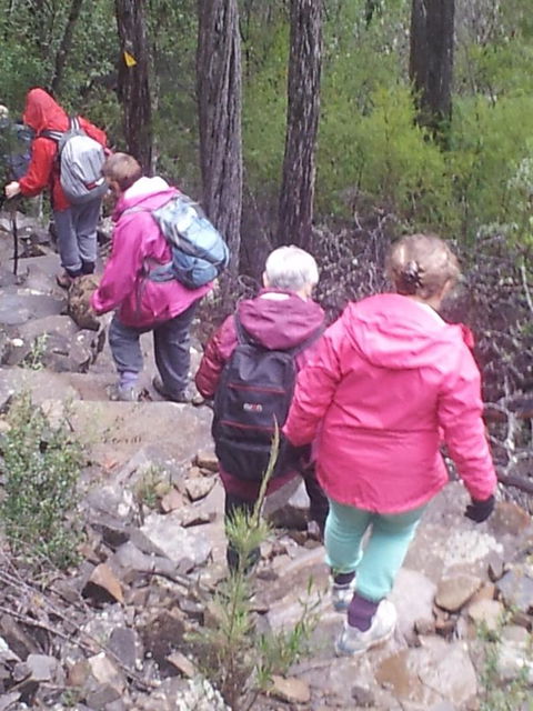 Suntrap Cove Bicheno - Holiday Find 2