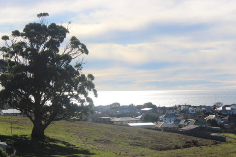 Hilltop Ocean Views å±±é¡¶æµ·æ™¯ - Holiday Find 22