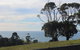 Hilltop Ocean Views å±±é¡¶æµ·æ™¯ - thumb 2