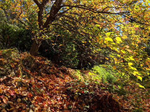 Mountain Blue Guest House - Holiday Find 9