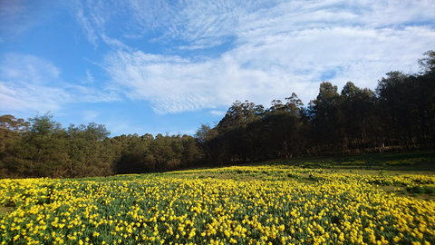 Mountain Blue Guest House - Holiday Find 21