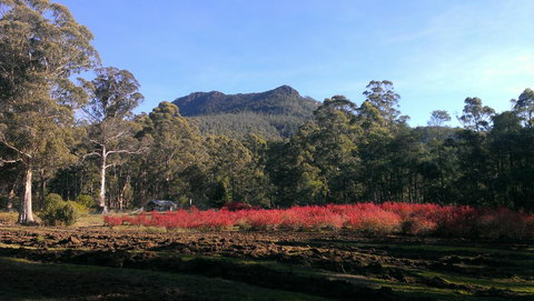 Mountain Blue Guest House - Holiday Find 23