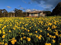 Book Golden Valley Accommodation Vacations Holiday Find Holiday Find