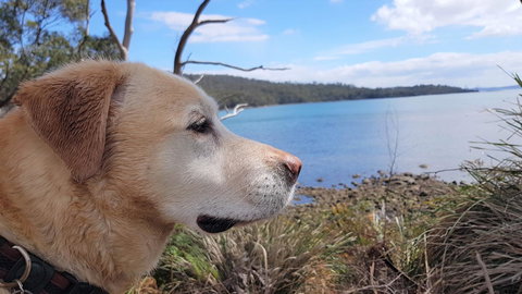 Four Seasons Waterfront Villas - Holiday Find 35