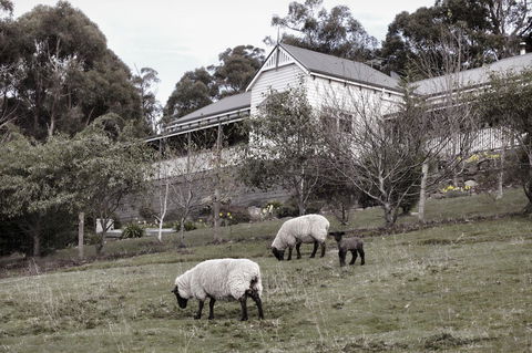 House On The Hill Bed And Breakfast - Holiday Find 19