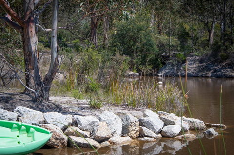 Blu-Sea 365 - Holiday Find 7