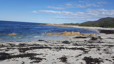 Blu-Sea 365 - Holiday Find 25