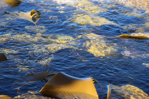 Blu-Sea 365 - Holiday Find 28