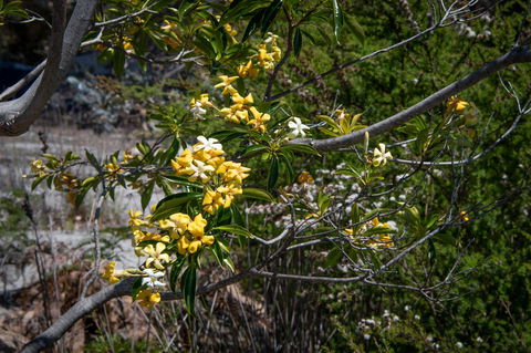 Blu-Sea 365 - Holiday Find 8