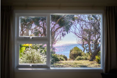 Cod Rock Point - Holiday Find 3