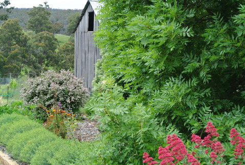 Hamlet Downs Country Accommodation - Holiday Find 19