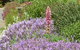 Hamlet Downs Country Accommodation - thumb 22