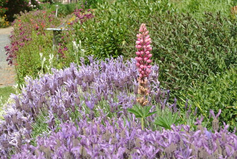 Hamlet Downs Country Accommodation - Holiday Find 22