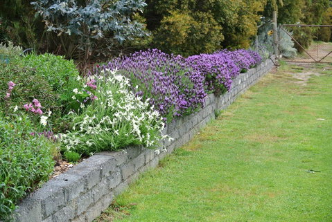 Hamlet Downs Country Accommodation - Holiday Find 14