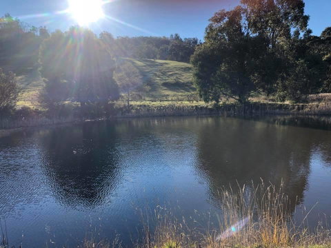 Hamlet Downs Country Accommodation - Holiday Find 8