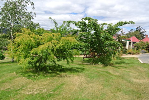 Hamlet Downs Country Accommodation - Holiday Find 21
