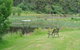 Hamlet Downs Country Accommodation - thumb 0
