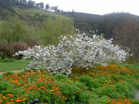 Hamlet Downs Country Accommodation - Holiday Find 13