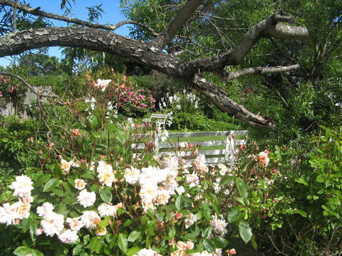 The Grove Cottages - Holiday Find 11
