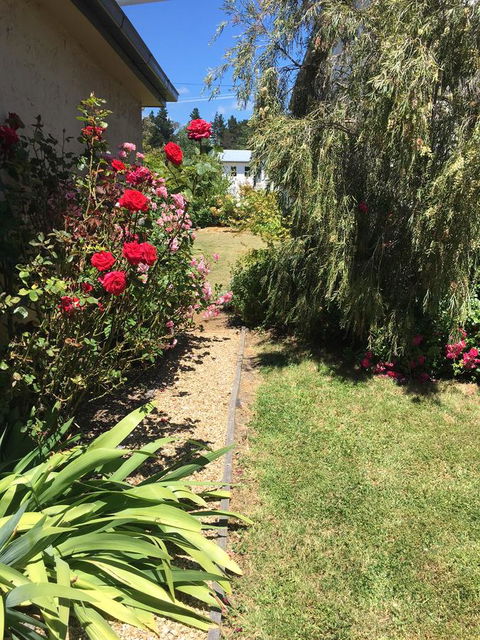 The Storekeeper\'s - Holiday Find 1