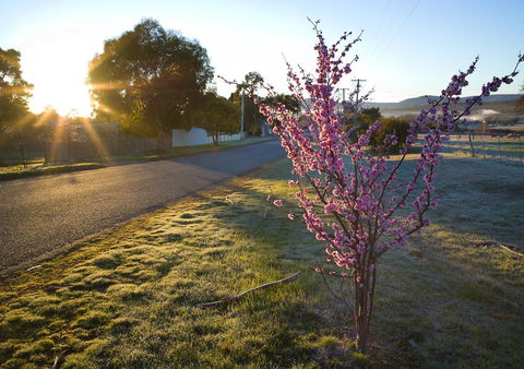 The Storekeeper\'s - Holiday Find 14