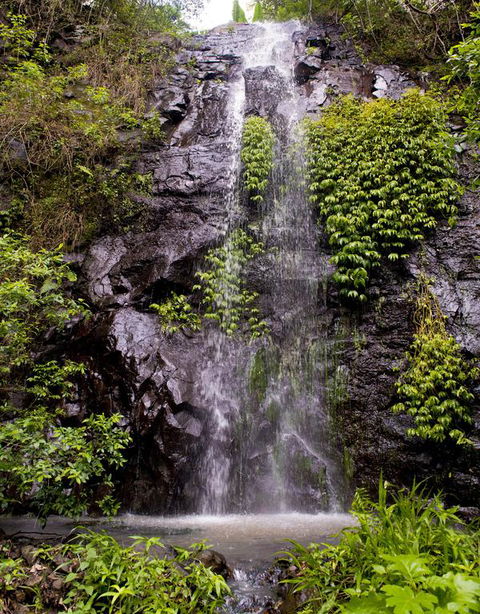 Nimbin Waterfall Retreat - Holiday Find 3