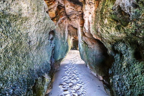 Oceanview BeachHouse - Holiday Find 1