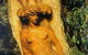 Olinda Country Cottages - thumb 3