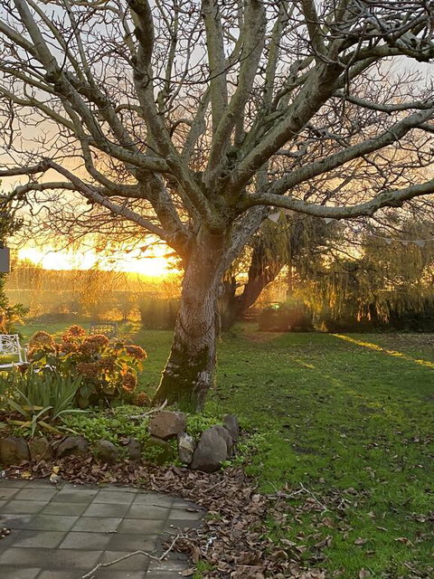 Peg Cottage - Holiday Find 0