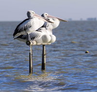 Pelican Perch Retreat - Holiday Find