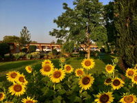 Quirindi Sunflower Motor Inn
