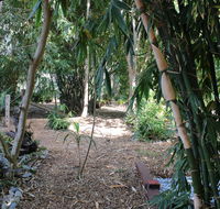 Rainforest Water Front River Shack Secluded. - Holiday Find