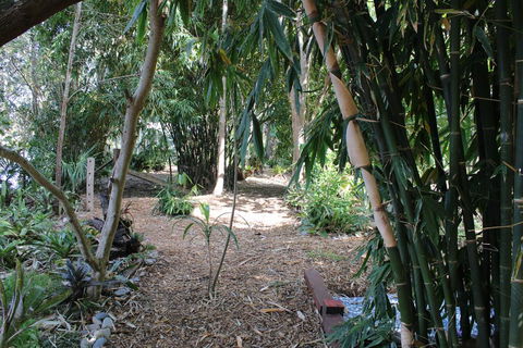 Rainforest, Water Front, River Shack, Secluded. - Holiday Find 0