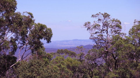 Ravensbourne Escape - Cedar Lodge - Holiday Find 0