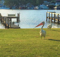 Riverfront Getaway - Mannum - Holiday Find
