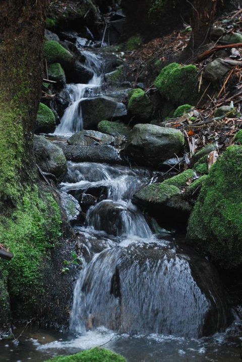 Rocky Creek Art Garden B&B - Holiday Find 3