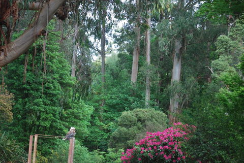 Rocky Creek Art Garden B&B - Holiday Find 2