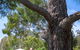 Rose Cottage - thumb 3