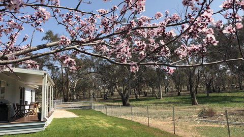 Rosewood Cottage - Holiday Find 2